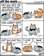 Cat Valentines.jpg