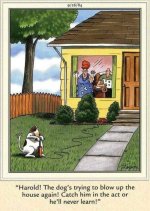 dog house.jpg