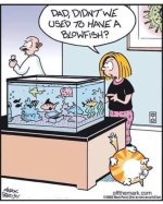 blowfish.jpg