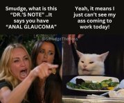 smudge anal.jpg