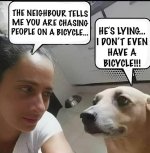 Image 3.jpeg