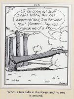 tree forest.jpg
