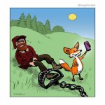 thumbnail5.jpg