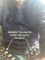 Seatbelts.jpg
