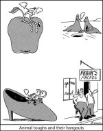 animal hang outs.jpg