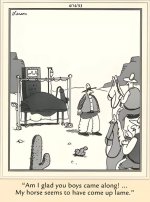 lame horse.jpg