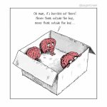 thumbnail6.jpg