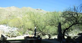 IMG_1770.jpg