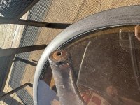 IMG_1050.jpg