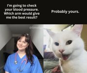 smudge BP.jpg