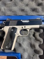 Colt02.jpg