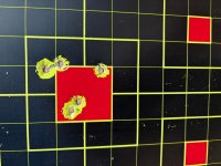 Double Action Target.jpg