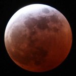 Eclipse031325_05.jpg