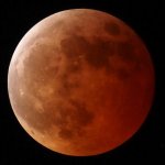 Eclipse031325_06.jpg