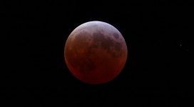 2025-03-14-eclipse08.jpg