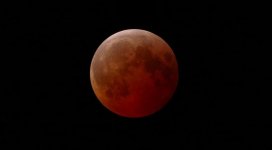 2025-03-14-eclipse09.jpg