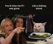 smudge kidney.jpg