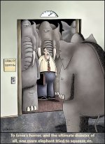 elephant.jpg