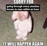 thumbnail4.jpg