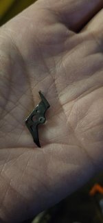 20250319_070132.jpg