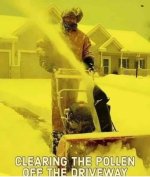 pollen 1.jpg
