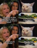 karen sink.jpg