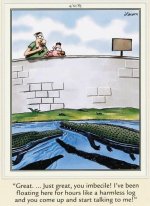 alligator log.jpg