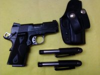 SA Micro Carry.jpg
