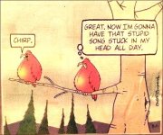 Early bird gets the ear worm.JPG