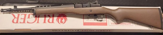 Ruger-Mini-14-L.jpg