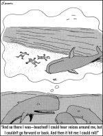 whale roll.jpg