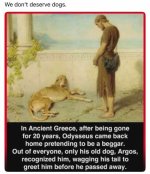 argos.jpg