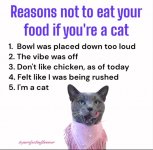Cats and food.jpg