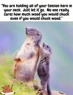 woodchuck.jpg