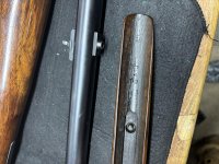 IMG_4116.jpg