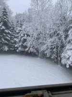 IMG_1848.jpg