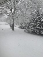 IMG_1849.jpg
