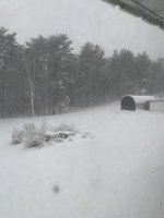 IMG_1850.jpg