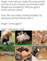 friend-shaped.jpg