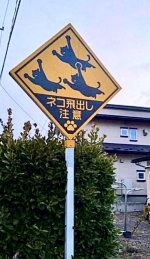 Cat sign.jpg