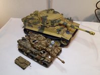 Tiger-family.jpg