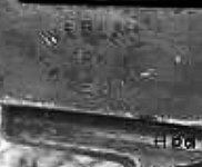 Screenshot_20250418-223138~2.jpg