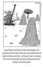 termite hills.jpg