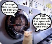 smudge spin cycle.jpg