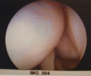IMG_2795.jpg