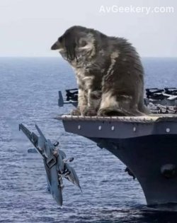 F18Dunk.jpg