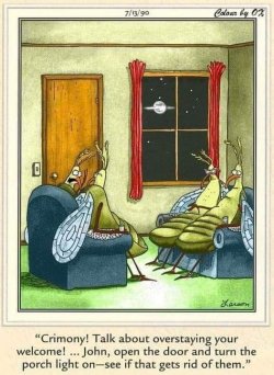 porch light.jpg