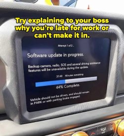 NoWorkToday.jpg