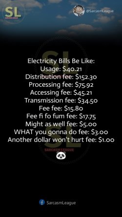 IMG_4715.jpeg