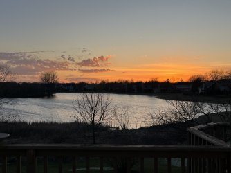 IMG_2318.jpeg